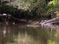 09-03-17-Rt 4-Hills Bridge-24707