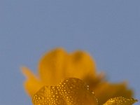 09-04-17-Mattawoman Creek-24981