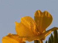 09-04-17-Mattawoman Creek-25020