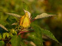 09-04-17-Mattawoman Creek-25050