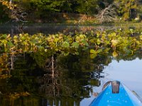 09-04-17-Mattawoman Creek-25260