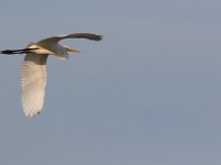 09-04-17-Mattawoman Creek-25370