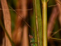 09-09-17-Nanjemoy-25711