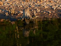 09-16-17-Rocky Gorge25971