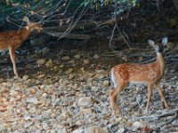 09-16-17-Rocky Gorge26011