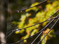 09-16-17-Rocky Gorge26229