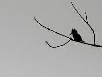 09-23-17-Tuckahoe Creek-26364