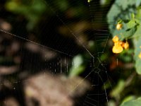 09-23-17-Tuckahoe Creek-26607