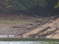 10-15-17-Rocky Gorge-27958