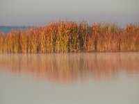 10-21-17-Blackwater-28081