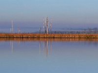 10-21-17-Blackwater-28295