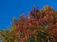 10-21-17-Blackwater-28572