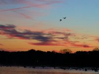 10-22-17-Piscataway-28648