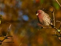 10-22-17-Piscataway-28872