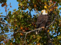 10-22-17-Piscataway-29060