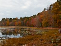 11-03-17-Cash Lake w-T-29591